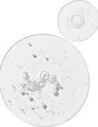 The Ordinary Multi-Peptide Eye Serum posvetlitveni serum za predel okoli oči s peptidi 15 ml
