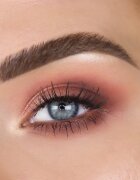 theBalm Male Order® Domestic Male paleta senčil za oči 13.2 g