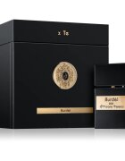 Tiziana Terenzi Burdèl parfumski ekstrakt uniseks 100 ml