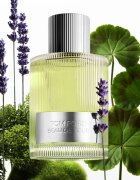 TOM FORD Beau de Jour parfumska voda za moške 100 ml