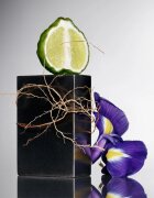 TOM FORD Eau de Grey Vetiver toaletna voda za moške 100 ml