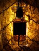 TOM FORD Private Blend Tobacco Chocolat parfumska voda uniseks 100 ml