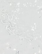Topicrem UH FACE Gentle Micellar Water nežna čistilna micelarna voda za občutljivo kožo in oči 400 ml