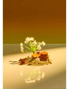 Tree Hut Shea Sugar Scrub Santal Haze sladkorni piling za telo 510 g