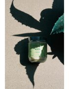Tropicandle Green Tea dišeča sveča 170 ml