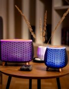 TrueLife AIR Diffuser D6 ultrazvočni aroma difuzor in vlažilec zraka 1 kos