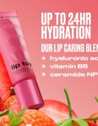 Urban Decay Lip Toy tonirno olje za ustnice odtenek Drizzled 12 ml