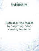 Vademecum 2 in1 Menthol Fresh zobna pasta in ustna voda 2v1 75 ml