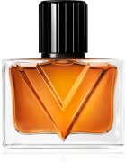 Valentino Vendetta Uomo parfumska voda za moške 30 ml