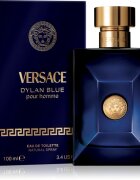 Versace Dylan Blue Pour Homme toaletna voda za moške 100 ml