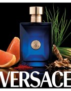 Versace Dylan Blue Pour Homme toaletna voda za moške 100 ml