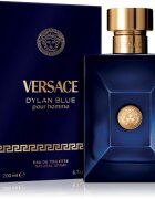 Versace Dylan Blue Pour Homme toaletna voda za moške 200 ml