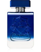 Victory Radiant parfumska voda uniseks 100 ml