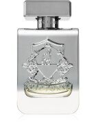 Victory Silver parfumska voda uniseks 100 ml