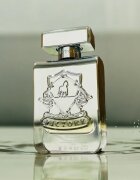 Victory Silver parfumska voda uniseks 100 ml