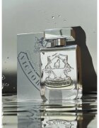 Victory Silver parfumska voda uniseks 100 ml