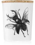 Vila Hermanos Insect Lucanus Cervus dišeča sveča 75 g