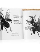 Vila Hermanos Insect Lucanus Cervus dišeča sveča 75 g