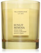 Vila Hermanos Sunlit Mimosa dišeča sveča 200 g