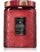 VOLUSPA Japonica Foraged Wildberry dišeča sveča 510 g