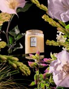VOLUSPA Japonica Jasmine Midnight Blooms dišeča sveča 156 g