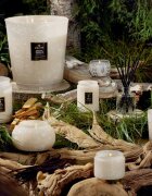 VOLUSPA Japonica Santal Vanille dišeča sveča 255 g