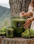 VOLUSPA Japonica Temple Moss dišeča sveča 510 g