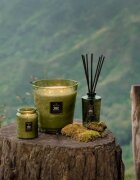 VOLUSPA Japonica Temple Moss dišeča sveča 510 g