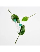 VT Cosmetics Cica Cream vlažilna krema za obraz s pomirjajočim učinkom 50 ml