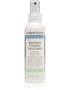 Waterclouds Intensive Volume Treatment zaščitno stiling pršilo za lase za prehrano in hidracijo 150 ml