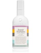 Waterclouds Repair Shampoo blag negovalni šampon 250 ml