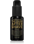 Waterclouds The Dude After Shave Balm balzam za po britju 50 ml