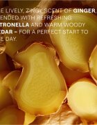 Weleda Energy poživitveni gel za prhanje Ginger Citronella and Cedar 400 ml