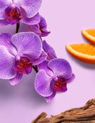 Weleda Mystic Aura odišavljeno pršilo za telo in lase za ženske 95 ml