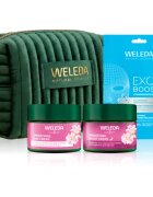 Weleda Wild Rose Radiance Ritual darilni set za posvetlitev in zgladitev kože