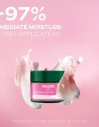 Weleda Wild Rose Renewal Ritual darilni set za prve gube