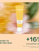 Weleda Winter Must-Have darilni set za obnovitev in hranjenje kože obraza