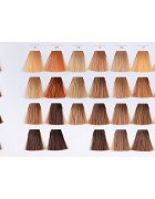 Wella Professionals Color Touch Vibrant Reds barva za lase odtenek 66/44 60 ml