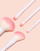 Wet n Wild Essential Blush Brush čopič za rdečilo 1 kos