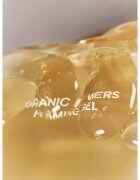 WHAMISA Organic Flowers Foaming Gel pomirjajoči čistilni penasti gel 150 ml