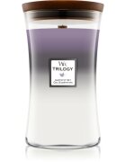 Woodwick Trilogy Amethyst Sky dišeča sveča z lesenim stenjem 609.5 g