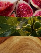 Woodwick Verdant Fig dišeča sveča z lesenim stenjem 453.6 g