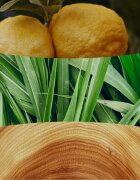 Woodwick Yuzu & Vetiver dišeča sveča z lesenim stenjem 275 g