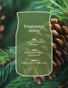 Yankee Candle Balsam & Cedar Fireside dišeča sveča 567 g