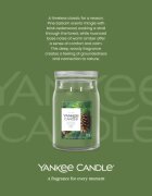 Yankee Candle Balsam & Cedar Fireside dišeča sveča 567 g