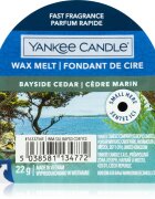 Yankee Candle Bayside Cedar vosek za aroma lučko 22 g