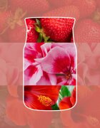 Yankee Candle Cliffside Sunrise dišeča sveča Signature 110 g