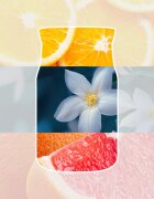 Yankee Candle Midnight Jasmine dišeča sveča Signature 110 g