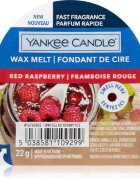 Yankee Candle Red Raspberry vosek za aroma lučko 22 g