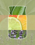 Yankee Candle Sage & Citrus dišeča sveča Signature 110 g